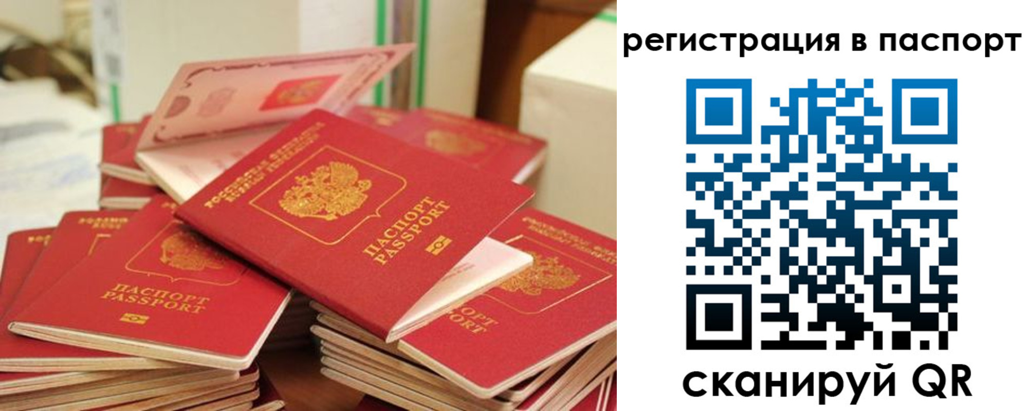 временная регистрация купить в Выборге